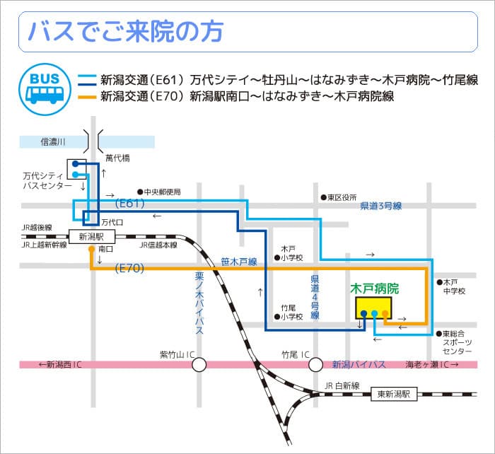 新潟交通路線バス